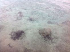 Very clear water in the Bay of Pigs